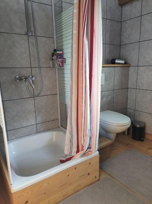 Ferienhaus Saunahaus Mit Swimmingpool In