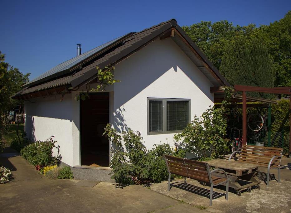 Ferienhaus Saunahaus Mit Swimmingpool In